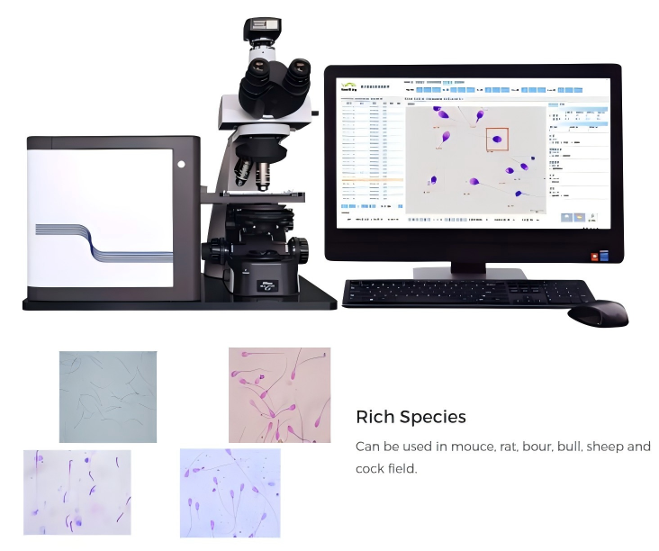 China CASA Sperm Analyzer alternative to Minitube Androvision CASA System